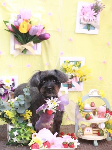 20230314ナナちゃん